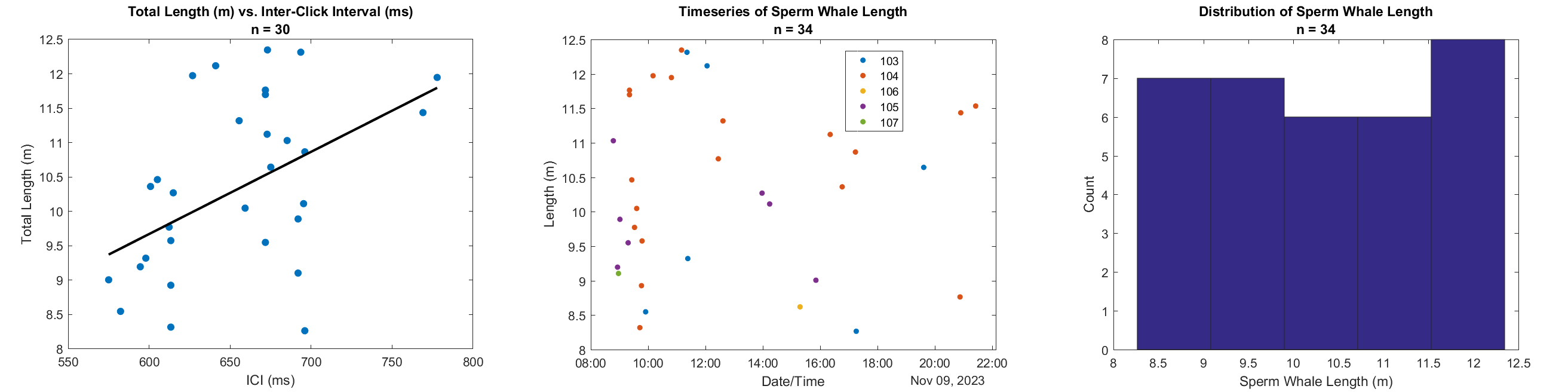 Three graphs representing sperm whale body size relationship with ICI results. On the left, the estimated total animal length in meters is on the y axis, and the ICI in ms is on the x axis. This scatterplot shows a positive linear relationship between ICI and body size, suggesting a 1.2 m increase in body size with a 100 ms increase in ICI. The center graph is a scatterplot time series with body length (m) on the y axis, and time on the x axis for the 22 hours of analyzed deployments. Each point represents a unique animal and the color represents the deployment on which the animal was recorded. All body lengths estimated ranged from 8 to 12.5 m. The final graph on the right provides a histogram of the number of sperm whale detections (y axis) for each estimated body length. The number of counts ranged from 6 to 8 animals.