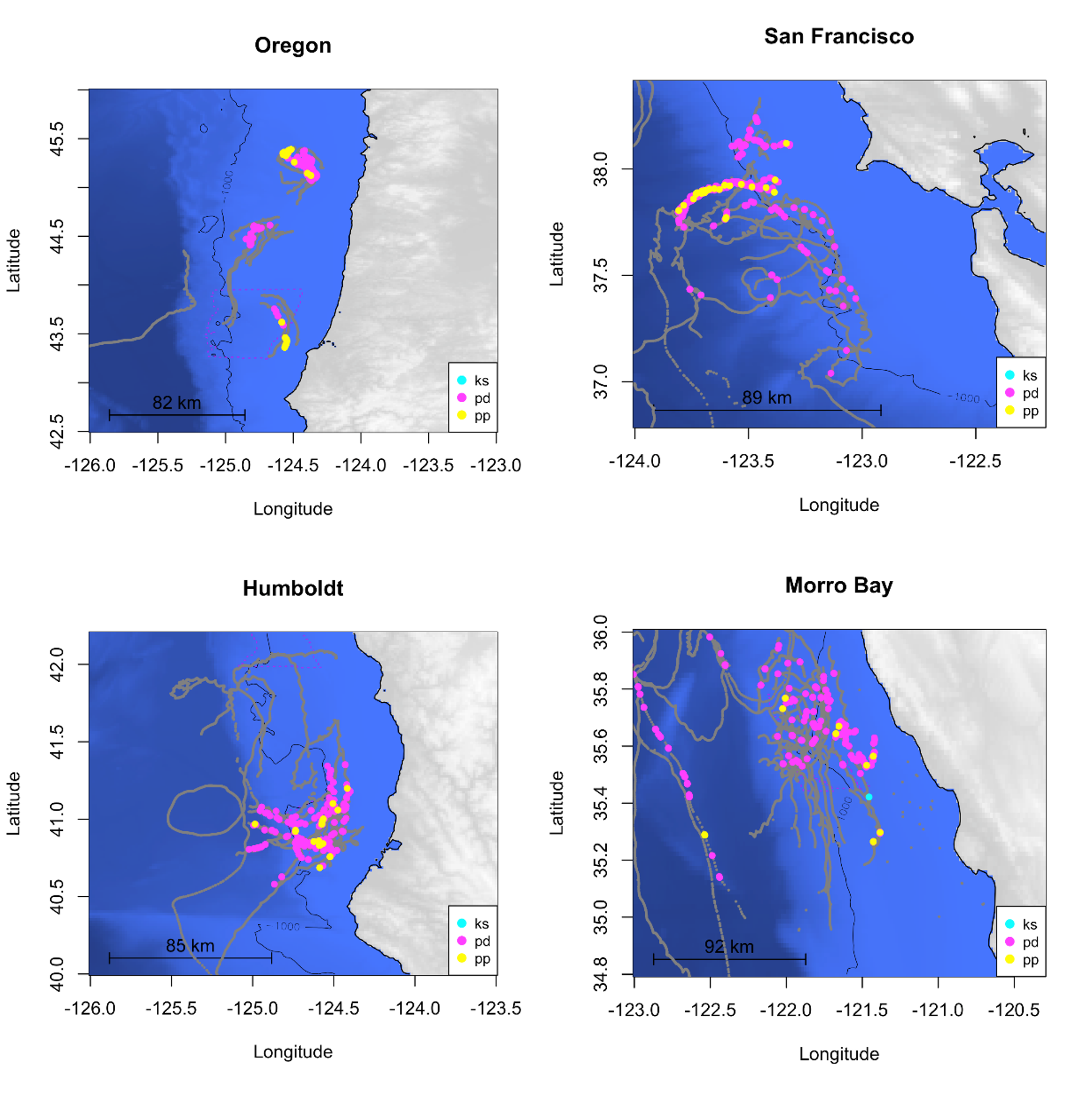 Maps with drift tracks for Adrift deployments and detection of NBHF species for Oregon (top map), Humboldt (second from top), San Francisco (second from bottom) and Morro Bay (bottom map). Detection points for NBHF species are based on classification results from this preliminary NBHF acoustic classifier including *Kogia* spp. as blue dots, Dall’s porpoise as pink dots, and harbor porpoise as yellow dots. Most detections for all regions were classified as Dall’s porpoise, with a smaller number of harbor porpoise classifications, and a few rare detections classified as *Kogia* spp..