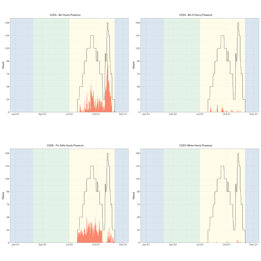 Hourly presence of blue whales (top left), blue whale D calls (top right), fin whale 20 Hz calls (lower left), and minke whale boing calls (lower right) for the CCES survey. The number of hours for combined deployments is provided on the y-axis, and the date on the x-axis, with seasons shaded in blue for winter, green for upwelling, and yellow for the post-upwelling season (all effort for CCES was during the post-upwelling season). Effort is outlined with a black line, and hours of effort with detections are highlighted in red. Daily deployment hours ranged from 24 to over 160 hours per day, depending on the number of acoustic recorders deployed per day. Detection of all species varied based on the number and location of acoustic recorders deployed on that date. The proportion of total hours with blue whale song (A/B calls, or non- D calls) were very high at the end of the survey effort, while blue whale D calls low for the entire survey. The proportion of total hours with fin whale song (20 Hz) were lower at the end of the survey effort and there were no detections of fin whale 40 Hz calls during the CCES survey. There were few detections of minke whale boing calls later in the survey.