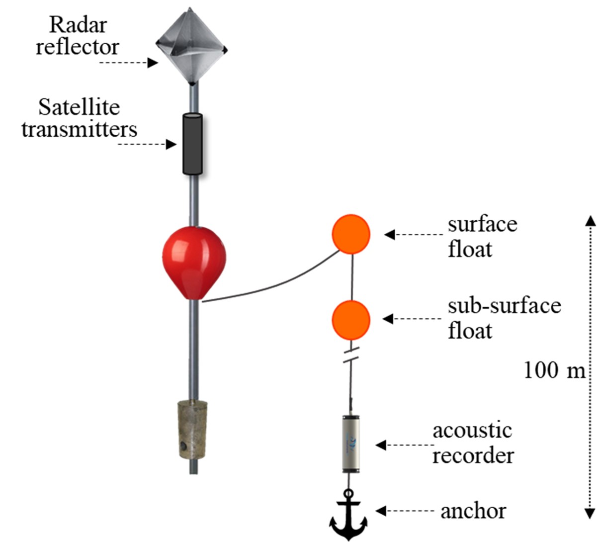 Diagram showing components of drifting buoy. On the left is the pole float at the surface of the ocean, with a radar reflector on top, a satellite transmitter on the pole, a float and a weight to keep the pole buoy floating and upright. The pole buoy is attached by a rope to the small surface float with 100 m of rope with the instrumentation. Below the surface float is a sub-surface float, and the recorder with hydrophones at 100 m depth, and an anchor at the bottom of this rope.